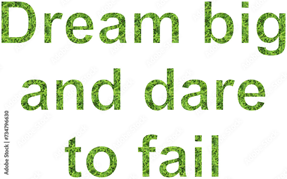 Fototapeta premium Dream big motivational quotes for success