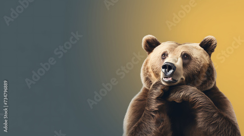 Portrait of a funny grizzly bear with a blank banner. Copy-space