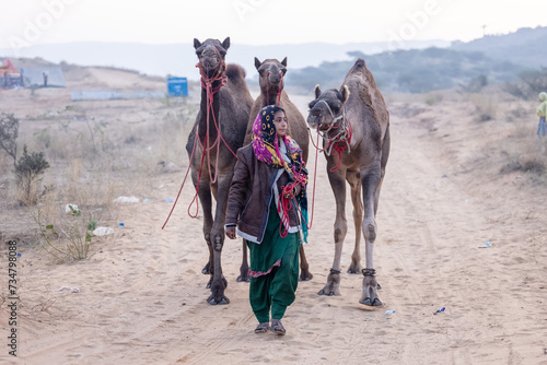 Portrait of an young Indian rajasthani woman in colorful traditional dress carrying camel at Pushkar Camel Fair ground during winter morning.