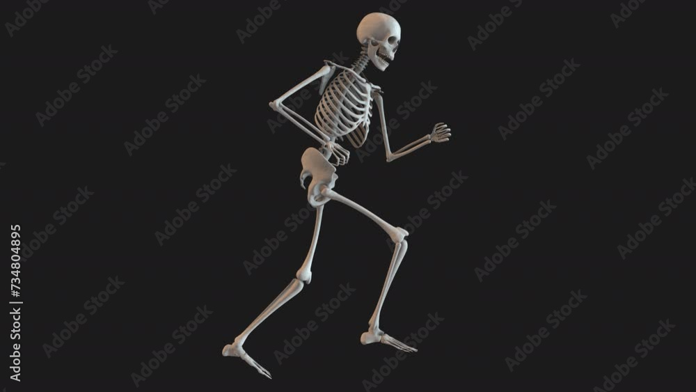 Skeleton Energetic Run Loop 01 Skeleton Energetic Run Loop 01