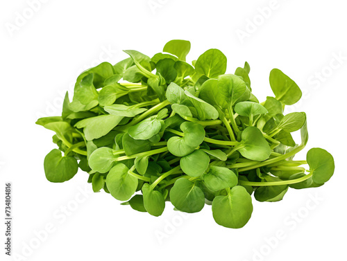 a pile of green leaves