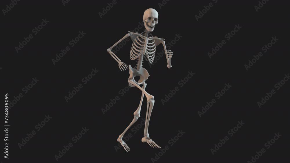 Skeleton Energetic Run Loop 02