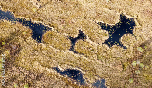 Aerial landscape of green autumn trees, dark expanse of water and yellow grass on a sunny swamp, top view.