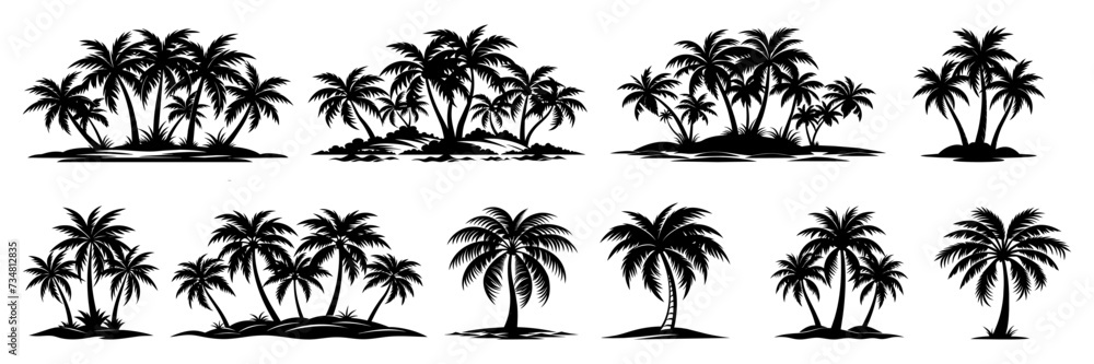 Palm tree silhouette set. Collection of tropical palm trees - obrazy, fototapety, plakaty 