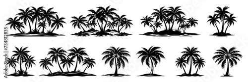 Palm tree silhouette set. Collection of tropical palm trees