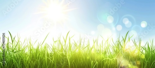 Beautiful sun and green grass natural background. AI generated image