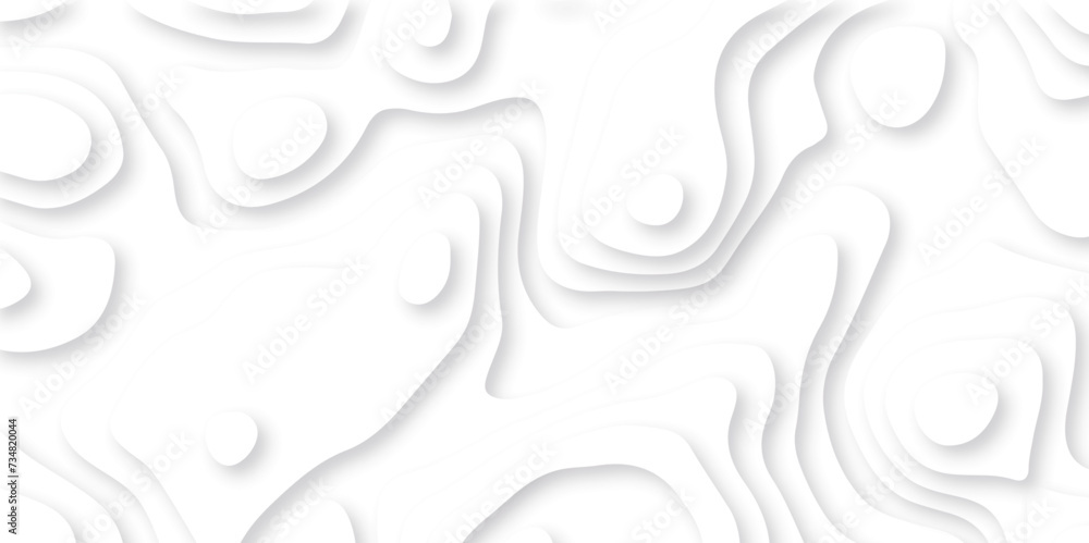 Abstract white paper cut background with lines. Background of the topographic map. White wave paper curved reliefs abstract background. Realistic papercut decoration textured with wavy layers. Abstract white paper cut background with lines. Background of the topographic map. White wave paper curved reliefs abstract background. Realistic papercut decoration textured with wavy layers.