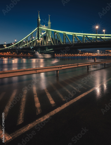 Famous Liberty bridge in Bu...