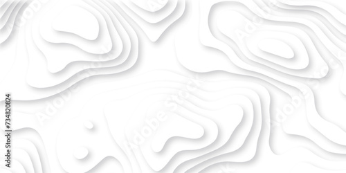 Abstract white paper cut background with lines. Background of the topographic map. White wave paper curved reliefs abstract background. Realistic papercut decoration textured with wavy layers.