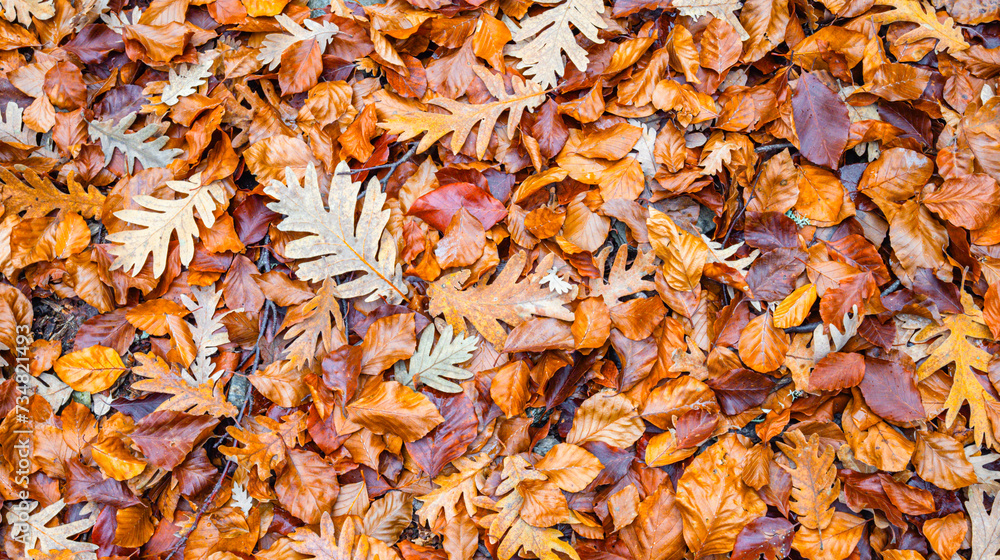 Tapestry Autumn Leaves Natural Background Design Tapestry Autumn Leaves Natural Background Design
