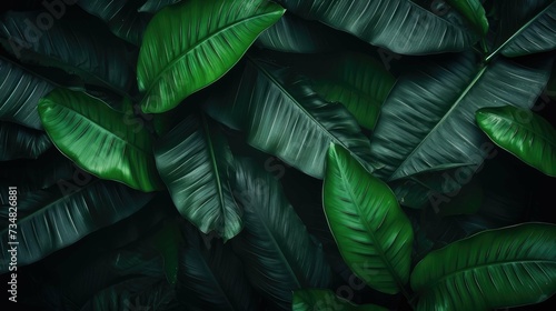 Classy Dark Green Leaves Background