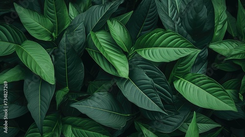 Exquisite Leafy Green Background © Classy designs