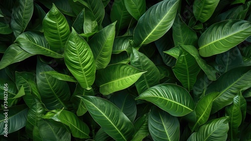 High-End Dark Green Leaves Seamless Texture