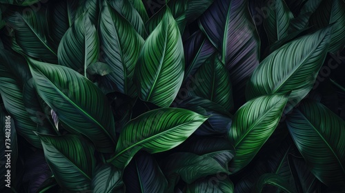 Sleek Dark Green Foliage Pattern