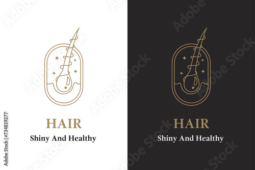 hair logo, icon, illustration template  linear style  design 