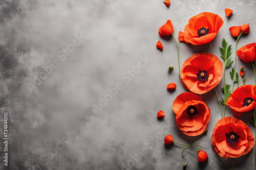 Vibrant Poppies on Concrete Background © dashtik