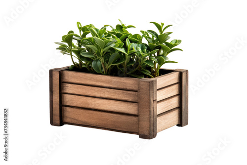 Handcrafted Wooden Planter Box Isolated On Transparent Background