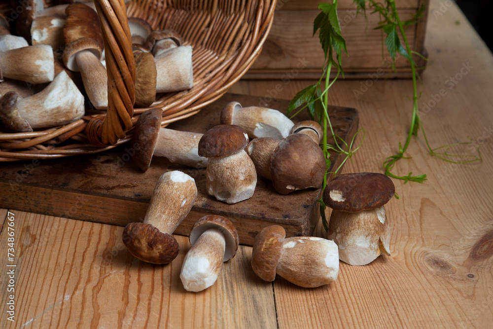 Pile of wild porcini mushrooms on wooden background at autumn season.. Pile of wild porcini mushrooms on wooden background at autumn season..
