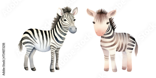 cute zebra watercolor vector illustration