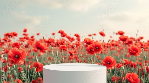 Background scene with empty white podium platform and red poppies. Beauty product display. Organic Natural concept. Mock up, Spa.