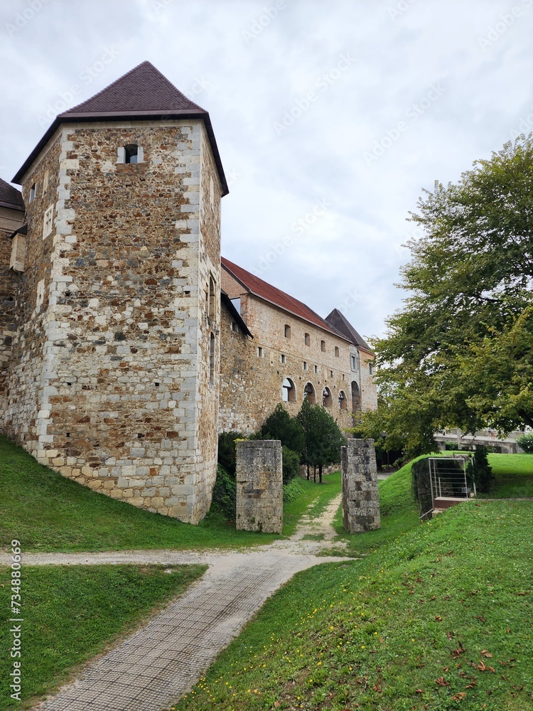 Slovenian castle front view close up