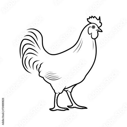 Chicken Rooster Egg Vector