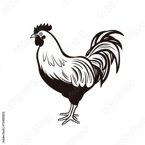 Chicken Rooster Egg Vector