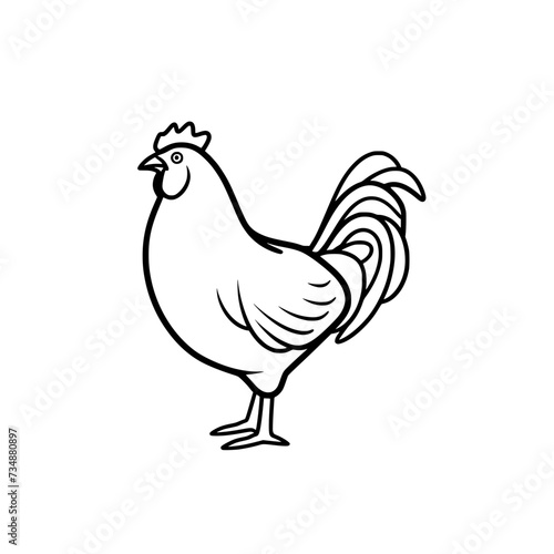 Chicken Rooster Egg Vector