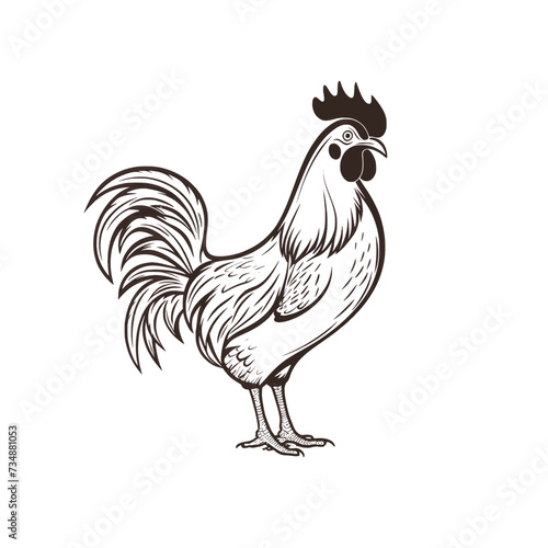 Chicken Rooster Egg Vector