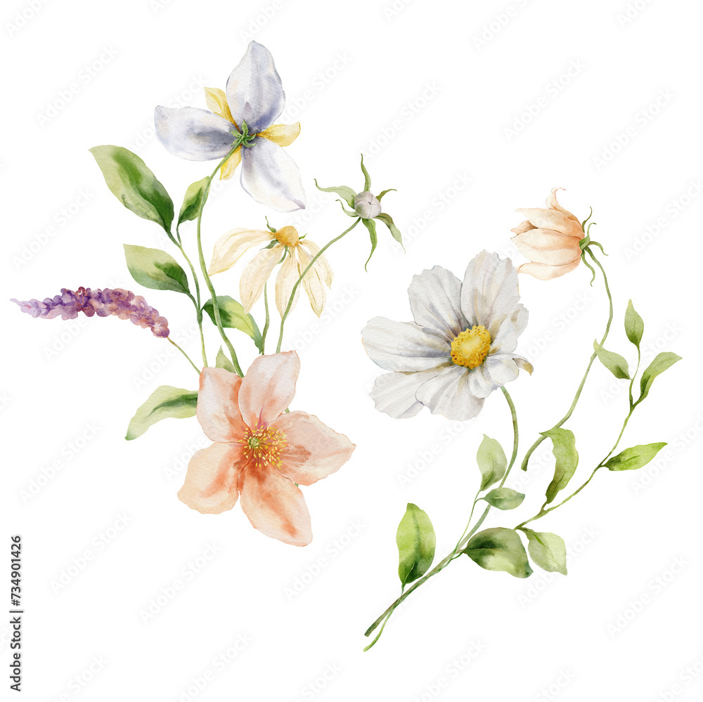 Watercolor set of bouquets with daisy, cosmos flower, anemone and leaves. Hand painted floral card isolated on white background. Holiday flowers Illustration for design, print, fabric or background.