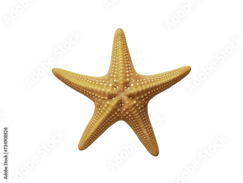 a starfish on a white background