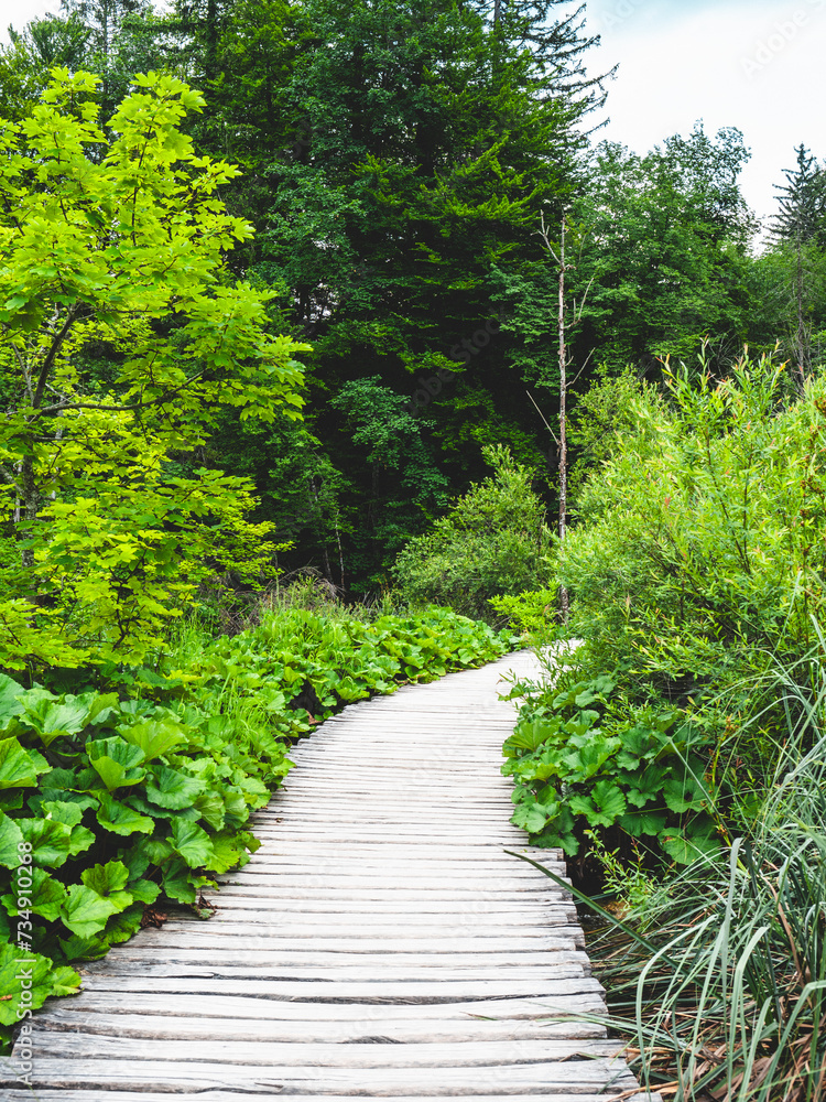 Wooden path through a lush green forest. Plitvice Lakes National Park, Croatia Wooden path through a lush green forest. Plitvice Lakes National Park, Croatia