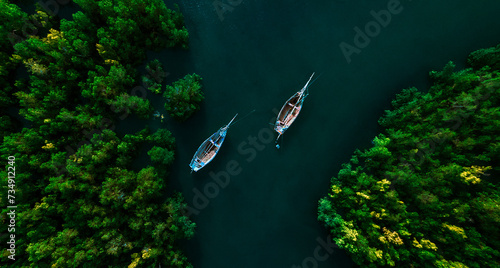 Aerial view of boats in a river lined with green trees © Wirestock