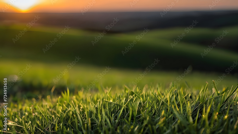 Green grass with sunset views, green grass and sun, Generative AI 