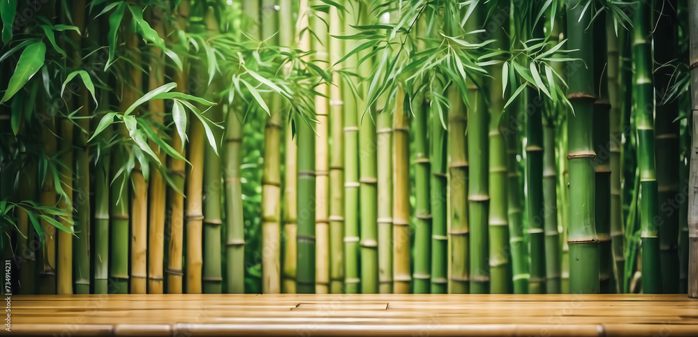 bamboo fence background, empty space surrounded with green bamboo leaves