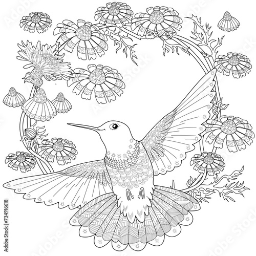 Art therapy coloring page. Hummingbird with daisies hand drawn in vintage style. Linear engraving art. Romantic concept.
