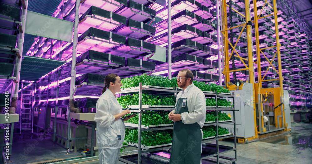 Caucasian Agricultural Engineer and Female Scientist Discussing Basil Leaves Quality on Vertical Farm With Neon Led Lights. Gardening Expert Providing Advice for Growing Sustainable Green Produce. Caucasian Agricultural Engineer and Female Scientist Discussing Basil Leaves Quality on Vertical Farm With Neon Led Lights. Gardening Expert Providing Advice for Growing Sustainable Green Produce.