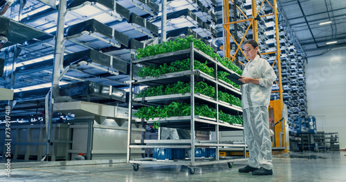 Canvas Print Female Agricultural Scientist Standing in a Vertical Farm Facility Next to Rack with Fresh Basil Crops
