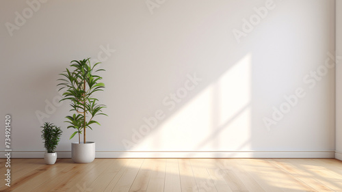 empty white room with a wooden floor and a potted plant