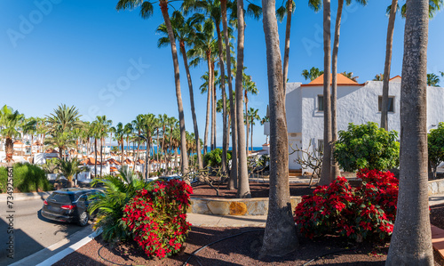 Obraz na płótnie Costa Calma, Fuerteventura: lush palm-lined avenues and vibrant blooms frame a tranquil resort town, embodying island serenity. w salonie
