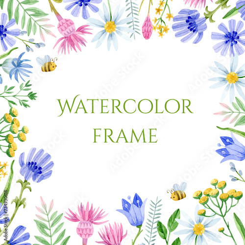 Watercolor frame with chicory, knapweed, chamomile, bluebell and bees