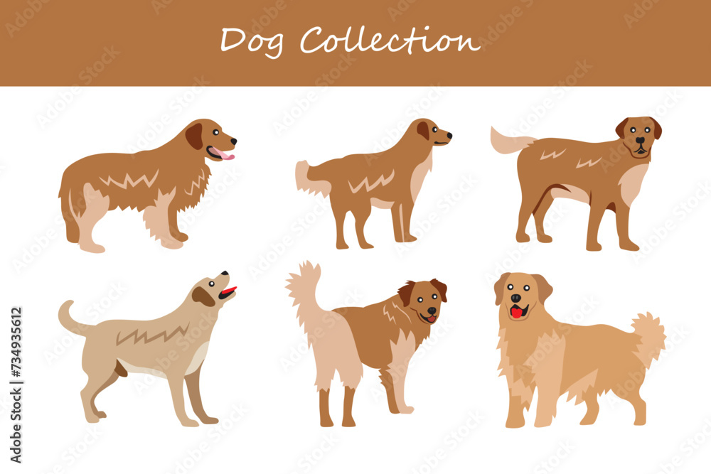 Dogs collection. Different poses. Vector illustration