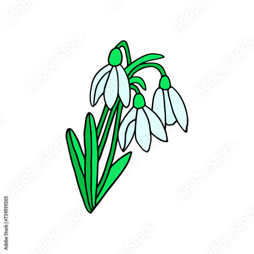 Bright illustration with snowdrops on a white background. Postcard.