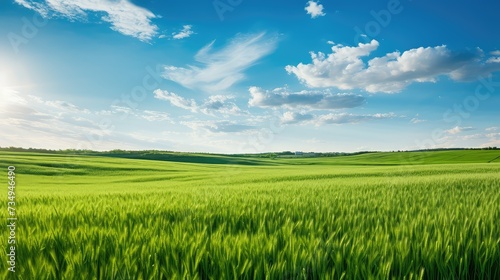 agriculture farm field background