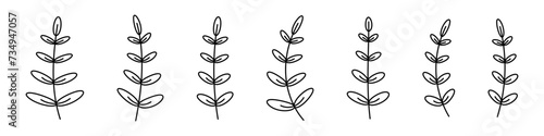 Branches set. Floral brenches set. Floral botanical line art. Decorative elements leaves.