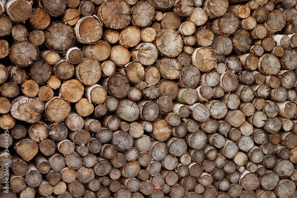 Cross section of tree trunks, timber background. Log trunks pile, the logging timber wood industry. Cutting tree trunks placed together for interior decorate. Decoration of cutting tree. Cross section of tree trunks, timber background. Log trunks pile, the logging timber wood industry. Cutting tree trunks placed together for interior decorate. Decoration of cutting tree.