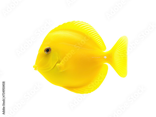 a yellow fish with a white background