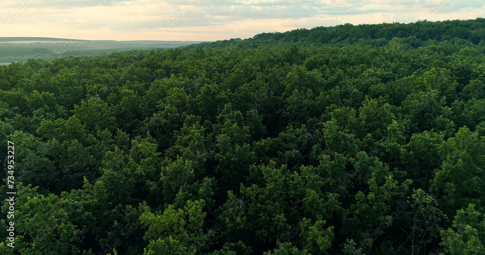 Aerial forest view. Nature background. Environment scenery. Green lush trees foliage skyline summer countryside landscape drone shot. Aerial forest view. Nature background. Environment scenery. Green lush trees foliage skyline summer countryside landscape drone shot.