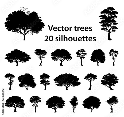 Black and white vector silhouette tree