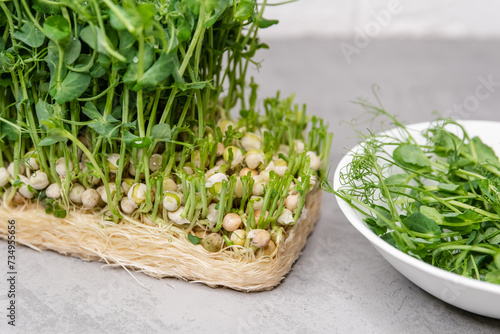These lush, edible sprouts symbolize health consciousness and sustainable food sourcing, perfect for modern culinary and lifestyle themes. Freshly snipped pea shoots lay scattered 
